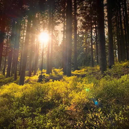 Casa Conti Apartament