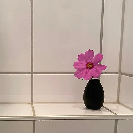 דירה Casa Conti *